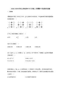 2024—2025学年_江苏苏州八年级上学期期中考试数学试卷[附解析]