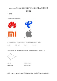 2024—2025学年_江苏徐州新沂八年级上学期11月期中考试数学试题[附解析]