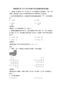 海南儋州市2025年九年级中考仿真模拟数学试卷（解析版）