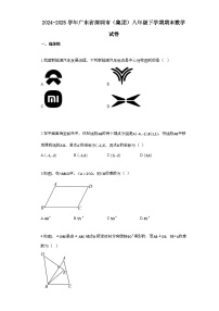 2024~2025学年_广东省深圳市[集团]八年级下学期期末数学检测试卷
