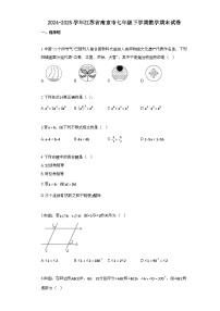 2024~2025学年_江苏省南京市七年级下学期数学期末试卷