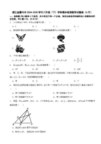 浙江省嘉兴市2024-2025学年八年级（下）学科期末检测数学试题卷（6月）