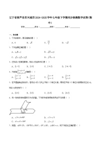 辽宁省葫芦岛市兴城市2024-2025学年七年级下学期期中考试数学试卷(含解析)