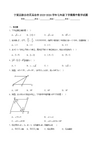 宁夏回族自治区吴忠市2023-2024学年七年级下学期期中考试数学试卷(含解析)
