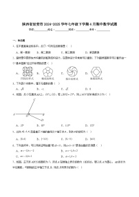 陕西省延安市2024-2025学年七年级下学期4月期中考试数学试卷(含解析)