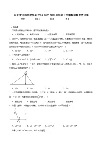 河北省邯郸市成安县2024-2025学年七年级下学期期中考试数学试卷(含解析)