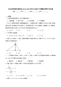 河北省邯郸市成安县2024-2025学年七年级下学期期中考试数学试卷(含解析)