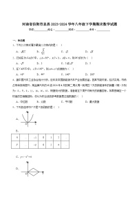 河南省信阳市息县2023-2024学年八年级下学期6月期末考试数学试卷(含解析)