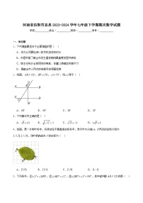 河南省信阳市息县2023-2024学年七年级下学期6月期末考试数学试卷(含解析)