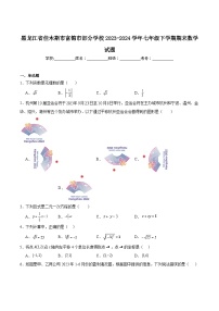 黑龙江省佳木斯市富锦市部分学校2023-2024学年七年级下学期7月期末考试数学试卷(含解析)
