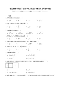 湖北省黄冈市部分学校2024-2025学年八年级下学期3月月考数学试卷(含解析)