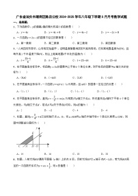 广东省汕头市潮南区陈店公校2024-2025学年八年级下学期5月月考数学试题