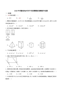 安徽省池州市2025届九年级下学期中考四模数学试卷(含解析)