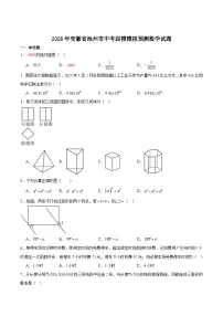 安徽省池州市2025届九年级下学期中考四模数学试卷(含解析)