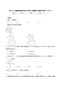 安徽省淮南市部分学校2025届九年级下学期中考模拟考试（6月）数学试卷(含解析)