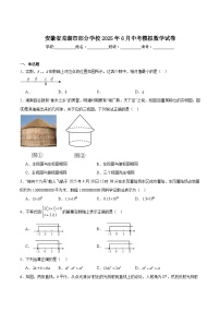安徽省芜湖市部分学校2025届九年级下学期6月中考模拟数学试卷(含解析)