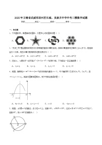 甘肃省武威市凉州区长城、吴家井中学2025届九年级下学期中考三模数学试卷(含解析)