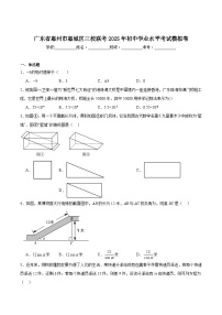 广东省惠州市惠城区三校联考2025届初中学业水平模拟考试数学试卷(含解析)
