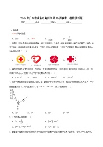 广东省茂名市高州市2025届九年级下学期中考二模数学试卷(含解析)