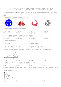 2024-2025学年广东省广州市华南师范大学附属中学八年级上学期数学期末考试（含答案）