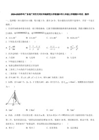 2024-2025学年广东省广州市天河区华南师范大学附属中学八年级上学期数学期中考试（含答案）