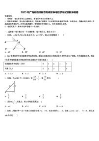 2025年广西壮族桂林市秀峰区中考数学考试模拟冲刺卷含解析