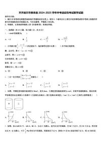 齐齐哈尔市泰来县2024-2025学年中考适应性考试数学试题含解析