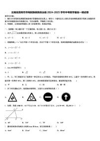 云南省昆明市寻甸回族彝族自治县2024-2025学年中考数学最后一模试卷含解析