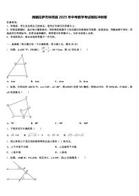 西藏拉萨市林周县2025年中考数学考试模拟冲刺卷含解析
