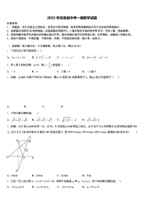 2025年祁连县中考一模数学试题含解析