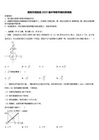 濮阳市濮阳县2025届中考数学模拟预测题含解析