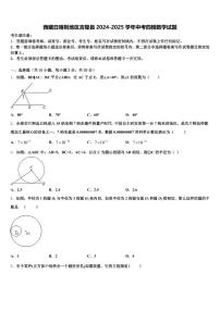 西藏日喀则地区吉隆县2024-2025学年中考四模数学试题含解析
