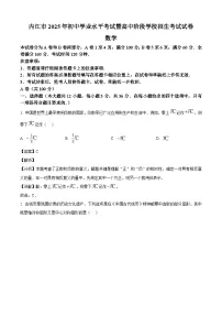 2025年四川省内江市中考数学试题(解析版)