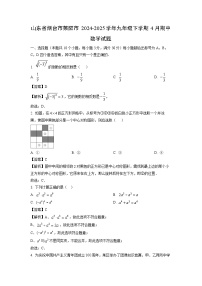 山东省烟台市莱阳市2024-2025学年九年级下学期4月期中数学试卷（解析版）