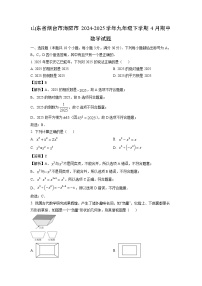 山东省烟台市海阳市2024-2025学年九年级下学期4月期中数学试卷（解析版）