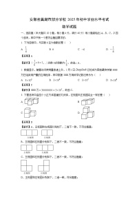 安徽省巢湖市部分学校2025年初中学业水平考试数学试卷（解析版）