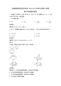 安徽省肥西县部分学校2024-2025学年九年级下学期期中考试数学试卷（解析版）