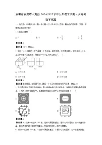 安徽省安庆市太湖县2024-2025学年九年级下学期4月月考数学试卷（解析版）