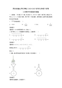 四川省眉山市仁寿县2024-2025学年九年级下学期4月期中考试数学试卷（解析版）