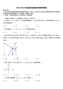 2024-2025学年运城市垣曲县中考数学押题卷含解析