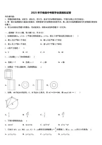 2025年宁南县中考数学全真模拟试卷含解析
