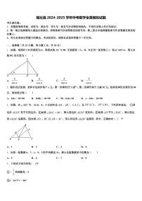 榆社县2024-2025学年中考数学全真模拟试题含解析