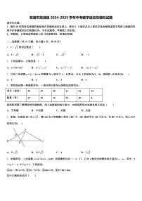 芜湖市芜湖县2024-2025学年中考数学适应性模拟试题含解析