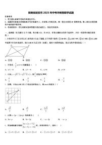 陕西省延安市2025年中考冲刺卷数学试题含解析