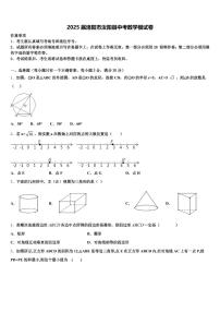 2025届洛阳市汝阳县中考数学模试卷含解析