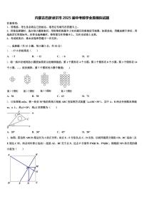 内蒙古巴彦淖尔市2025届中考数学全真模拟试题含解析