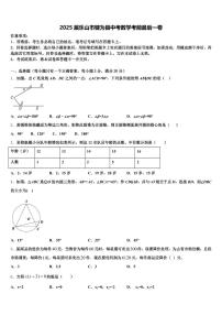 2025届乐山市犍为县中考数学考前最后一卷含解析