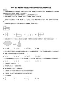 2025年广西壮族自治区南宁市横县中考数学对点突破模拟试卷含解析