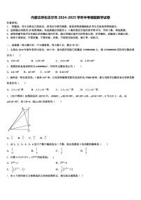 内蒙古呼伦贝尔市2024-2025学年中考猜题数学试卷含解析