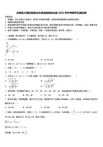云南省大理白族自治州漾濞彝族自治县2025年中考数学五模试卷含解析